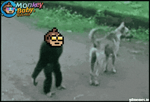 Monkeymeme Dancing Monkey GIF