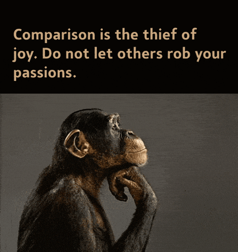 Monkeyquote Meme