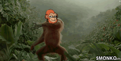 Monko Dancing Monko GIF