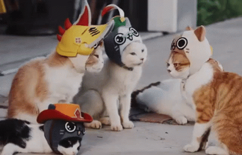 Monster Hunter Palico GIF. This 498 x 319 animated GIF is part of our monster hunter charge blade collection. Related themes include cat. Created by…