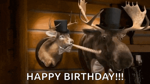 Montanas Party Blower GIF