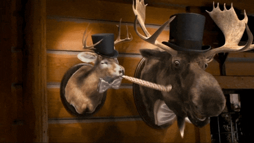 Montanas Party Blower GIF