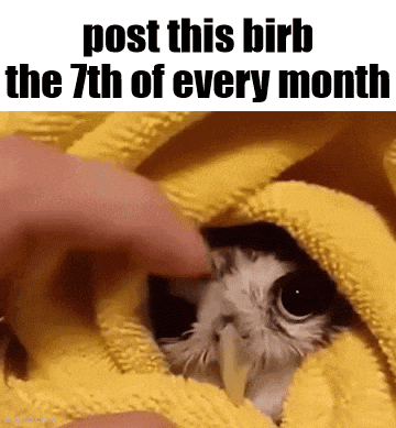 Monthly Essica GIF