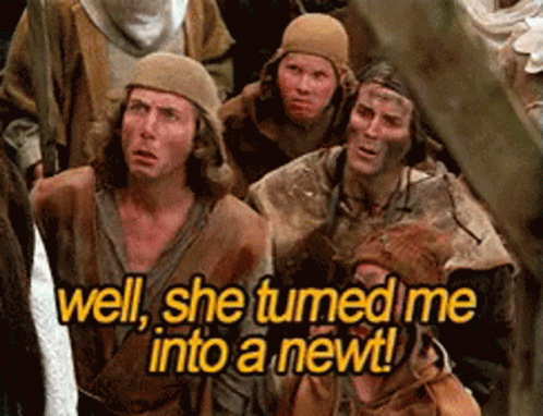 Monty Python And The Holy Grail She Tirned Me Into A Newt GIF. This 498 x 382 animated GIF is part of our monty python and the holy grail collection…