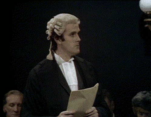 Monty Python Court GIF