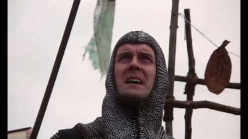 Monty Python Holy Grail GIF