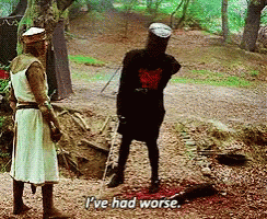 Monty Python King Arthur GIF. This 244 x 200 animated GIF is part of our monty python and the holy grail collection. Related themes include monty python…