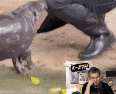 Moo Deng Hippo GIF
