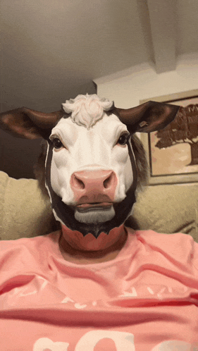 Moo Deng Meme