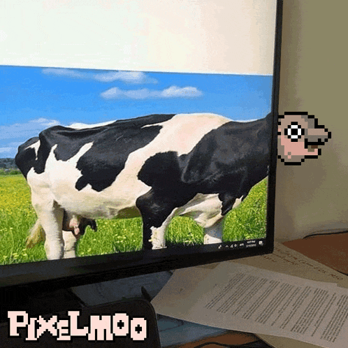 Moo Deng Moodeng GIF