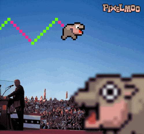 Moo Deng Moodeng GIF