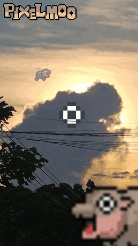 Moo Deng Moodeng GIF