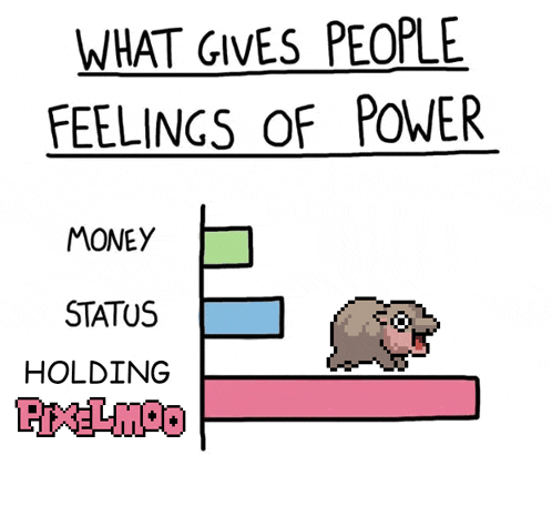 Moo Deng Moodeng GIF
