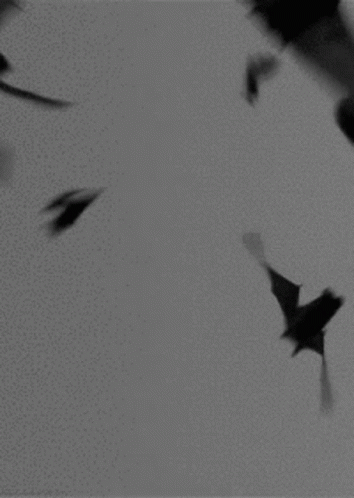 Mood Aesthetic GIF