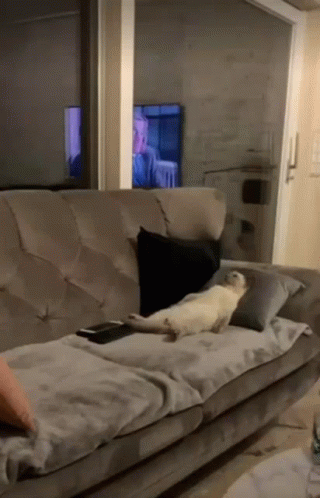 Mood Chill GIF