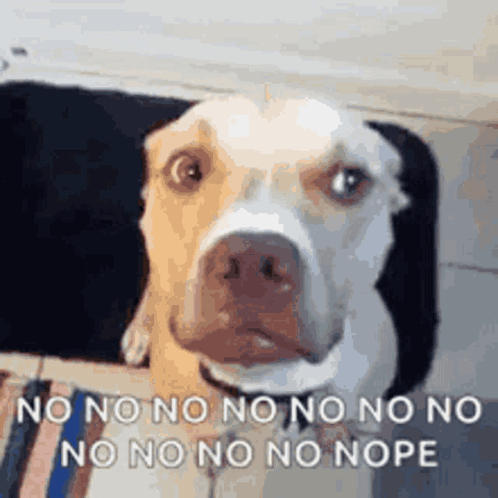 Mood GIF