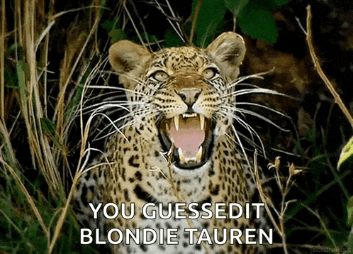 Mood Excited GIF