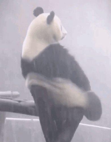 Mood Sad GIF