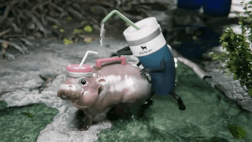 Moodeng Hippo GIF