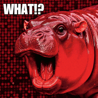 Moodeng Moodengeth GIF