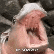 Moodeng GIF