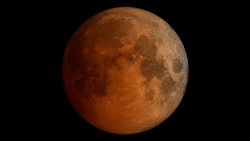 Moon Faces GIF