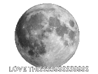 Moon Sticker