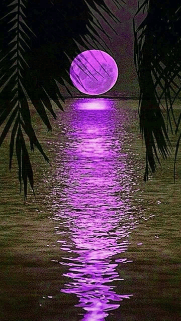 Moon Meme