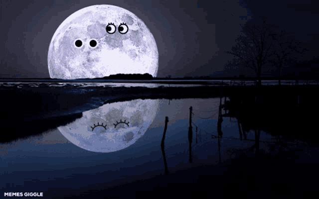Moon Shadow GIF