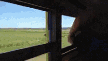 Mooning Spanking GIF