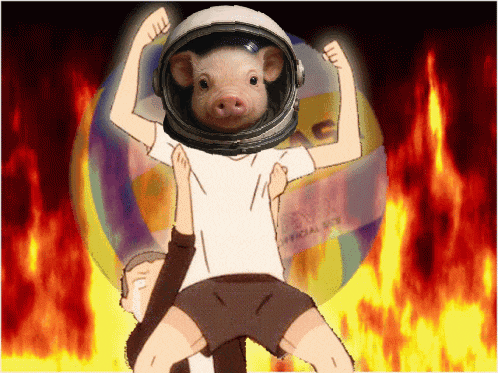 Moonpig GIF