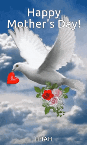 More Blessings On The Way GIF