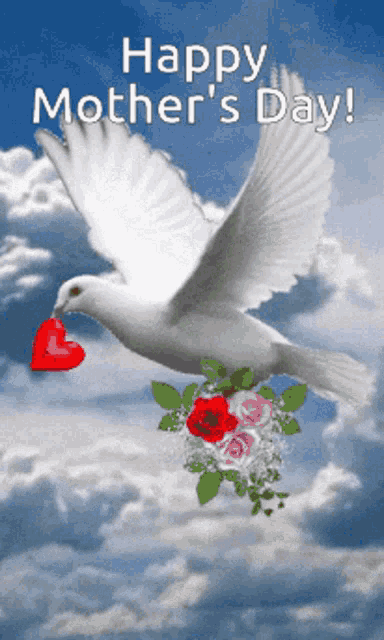 More Blessings On The Way GIF