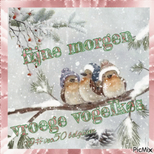 Morgend Vec50 GIF