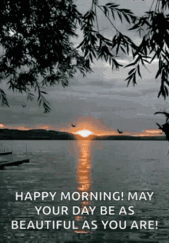Morning GIF