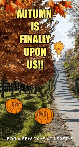 Morning Autumn GIF