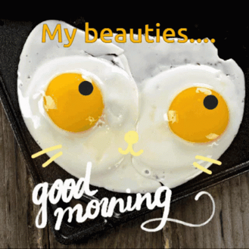 Morning Beauties My Beauties GIF. This 498 x 498 animated GIF is part of our hitze lustige bilder collection. Created by ladyval. View the original…