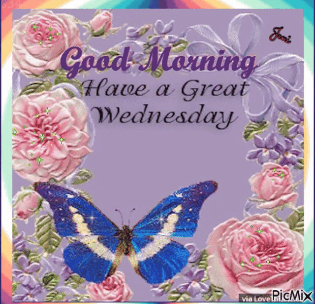 Morning Butterfly GIF