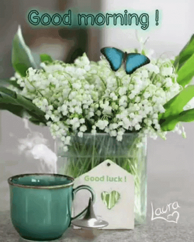 Morning Coffee GIF