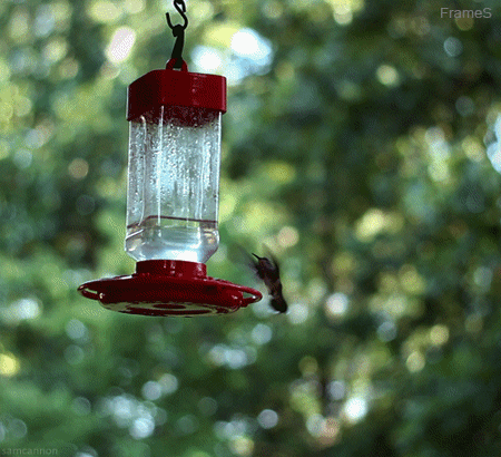 Morning For Frames GIF