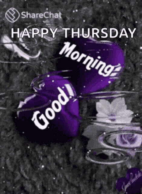 Morning Good GIF