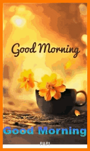 Morning Good GIF