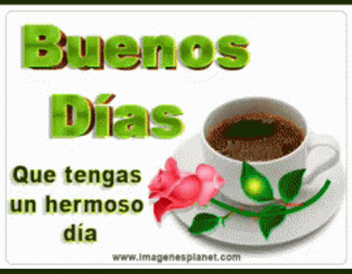 Morning Good Morning GIF