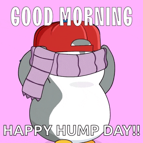 Morning Good Morning GIF