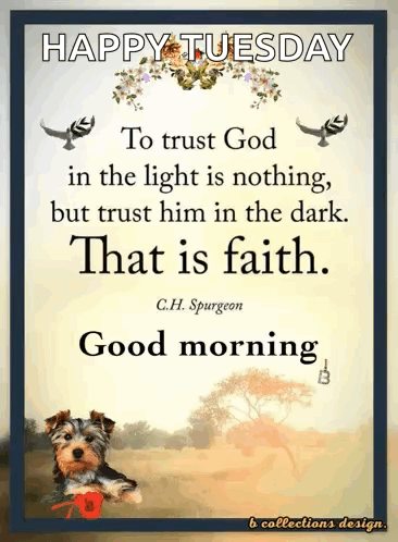 Morning Good Morning GIF