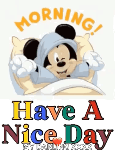 Morning Good Morning GIF