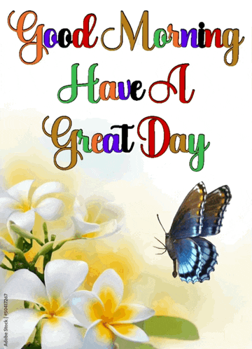 Morning Good Morning GIF