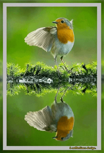 Morning Good GIF