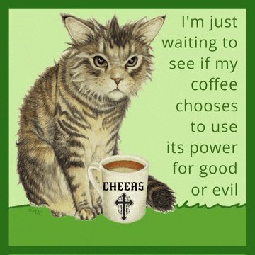 Morning Goodmorning Meme
