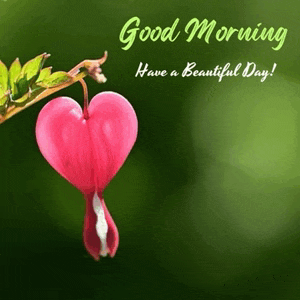 Morning Greetings Saturday Morning Greetings Meme